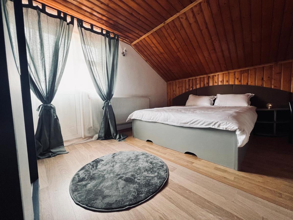 Hypnotic Villa Питешти Экстерьер фото